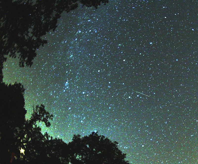 Meteor iz roja Perzeidi (preuzeto s hr.wikipedia.org)